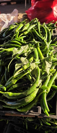 Riyadh, Food, Sales Representatives (Froots, Vegetable, Grocery)