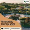 Residential Plots In Noida