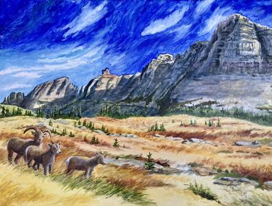 San Diego, Artists, Looking For Timeless Art? | Original Landscape Paintings USA