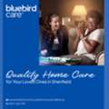 Quality Home Care For Your Loved Ones In Shenfield