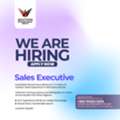 SALES EXECUTIVE