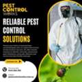 Pest Control Services In Pascoe Vale | Residential & Commercial Care