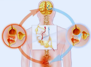 Ahmedabad, Health, Best Neuropathic Pain Treatment In Ahmedabad &ndash; Impulse Pain Clinic
