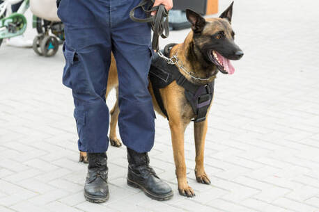 Kuala Lumpur, Security, K9 Dog Security Services / Aegies Security