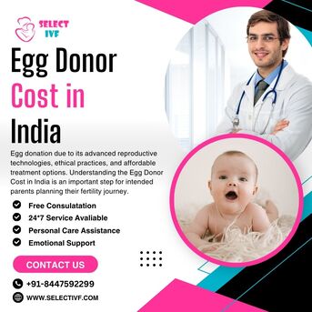 New Delhi, Health, Egg Donor Cost In India