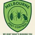 Pest Control Services Melbourne