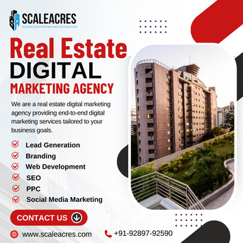 New Delhi, Marketing, Trusted Real Estate Digital Marketing Agency Partner