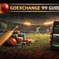 Goexchange 365 Online Cricket ID Provider In India