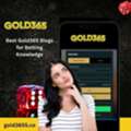 Best Gold365 Blogs For Betting Knowledge