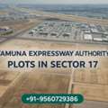 Sector 17 YEIDA Plots | Last Chance Before Jan 2026 Airport Launch!
