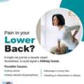 Don&rsquo;t Ignore Lower Back Pain | Best Urologist In Bhubaneswar | Dr. Pabitra Misra