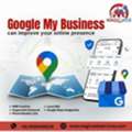 Professional Google My Business Setup In India