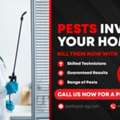Book Pest Control Services SG