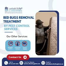 Dubai, Pest Control, Bed Bugs Pest Control Dubai &ndash; Fast & Effective Treatment | +971 56 695 2225