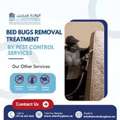 Bed Bugs Pest Control Dubai &ndash; Fast & Effective Treatment | +971 56 695 2225