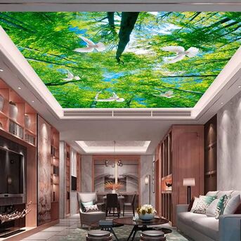 Coimbatore, Materials, INR 900,  Best Stretch Ceiling Design By Rk Enterprises