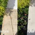 Revitalize Your Outdoor Spaces Professional Patio Cleaning Services In London