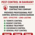 Pest Control - Bed Bugs, Termites And Cockroach
