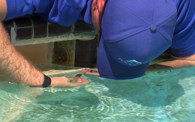 Dubai, Household, Low Cost Pool Repair Dubai-