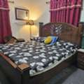 Good Condition: King Bed Set & Living Room Sofas