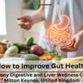 How To Improve Gut Health: Expert Care At Harmony
