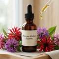 Monarda Oil &ndash; Pure & Natural Essential Oil Wholesale Supplier