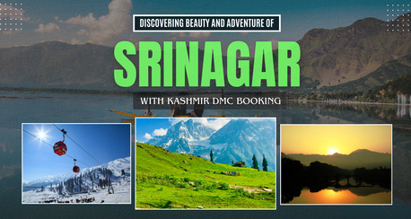 New Delhi, Travel, Srinagar Tour Packages: Easy Travel Arrangements For Kashmir