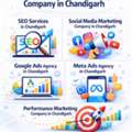 Digital Marketing Company In Chandigarh That Turns Clicks Into Clients