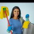 Professional House Maid Are Available For Monthly And Partime Cleaning Services (nanny Car