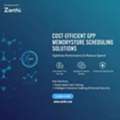 Cost-Efficient GCP Memorystore Scheduling Solutions With Zarthi