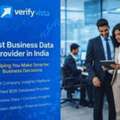How VerifyVista Is Changing Business Decisions With Verified Data