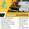 Professional Accountant