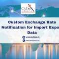 Custom Exchange Rate Notification For Import Export Data