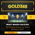 Gold365 &ndash; Your Ultimate Gold 365 Cricket Experience
