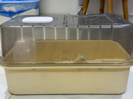 Riyadh, Pet Supplies, SAR 120,  Selling Hamster Black With Cage