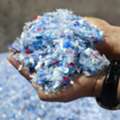 Affordable PET Flakes With Cap And Label For Recycling Industries