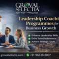 Leadership Coaching Programmes For Business Growth
