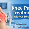 Best Knee Pain Treatment In India &ndash; KneeXpert
