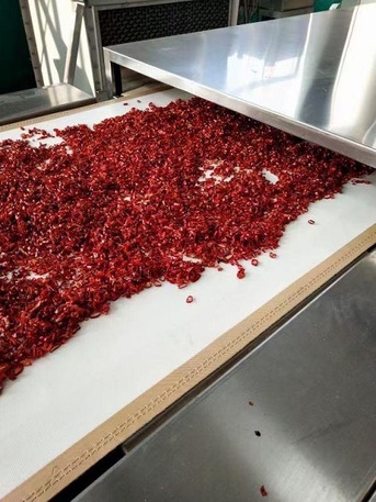 Mumbai, Industrial Machinery, Microwave Spices Dryer - Balanced In Aroma And Authenticity