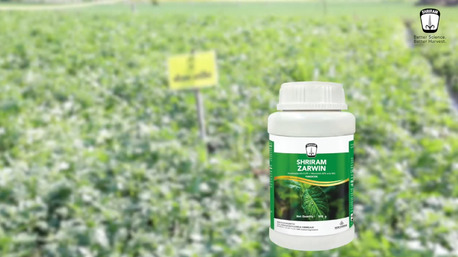 Mumbai, Farm/Garden, Shriram Zarwin For Higher Potato Yield And Crop Innovation