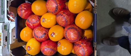 Paris, Job Seekers, Froots Vegetables, Grocery