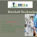 Hitzsoft &ndash; Web & Software Development Company In Trichy