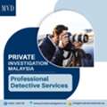 Private Investigation Malaysia &ndash; Professional Detective Services