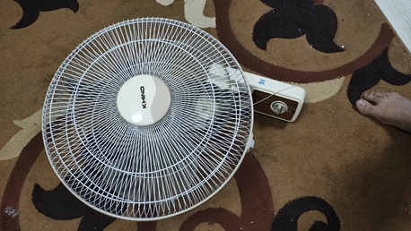 Hara, Appliances, SAR 1,  Wall Mount And Ceiling Fan