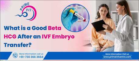 Mumbai, Health, What Is A Good Beta HCG After An IVF Embryo Transfer?