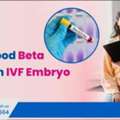 What Is A Good Beta HCG After An IVF Embryo Transfer?