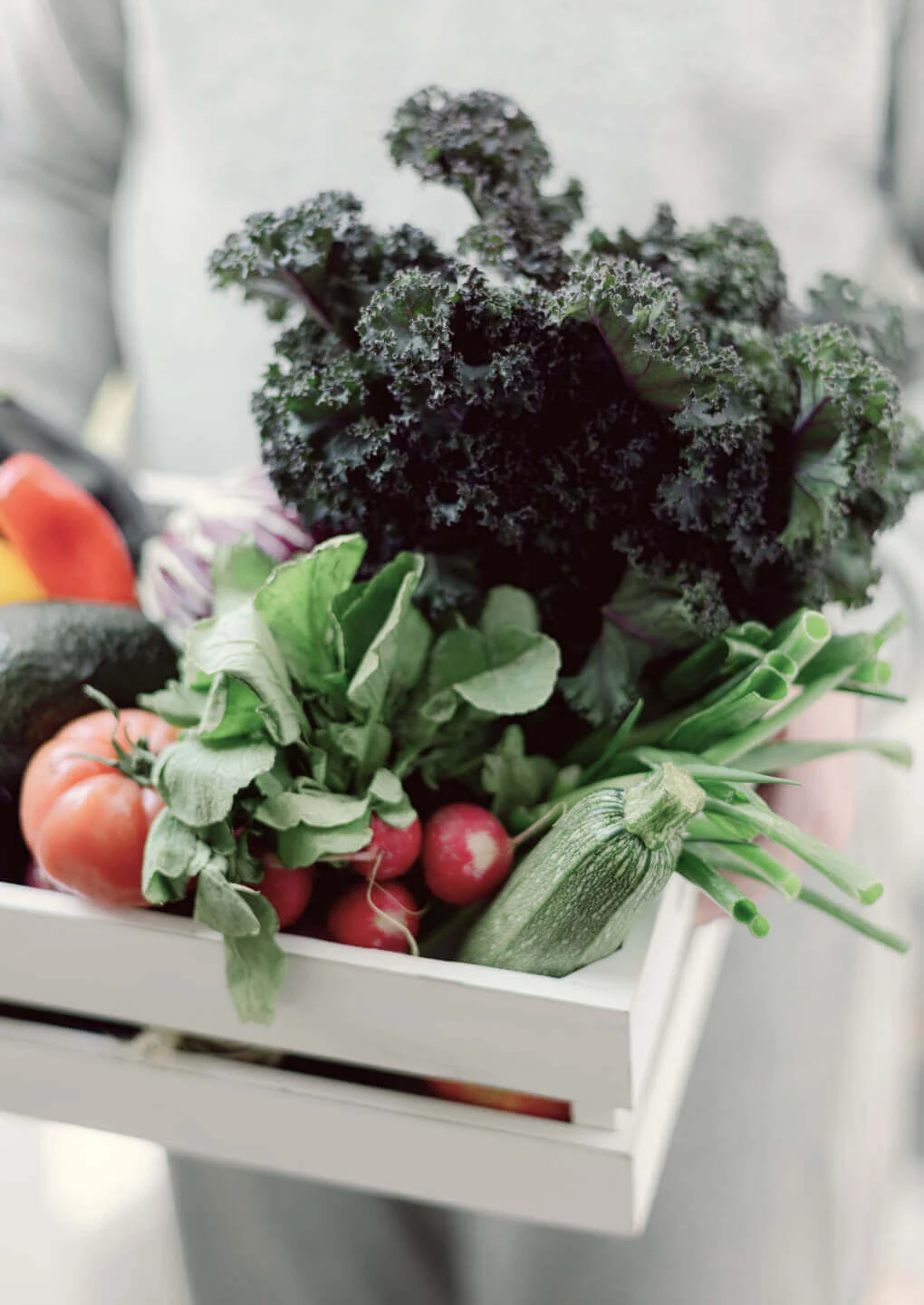 Edinburgh, Food, GBP 100,  Bulk Agricultural Products Supplier & Exporter | Europe & Africa