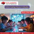 Online Coding Classes In Meydan