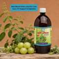 INR 660,  Best Bhumi Amla Juice For Liver Care, UTI Support & Digestion