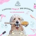 Local Dog Grooming Options For Clean And Happy Pets